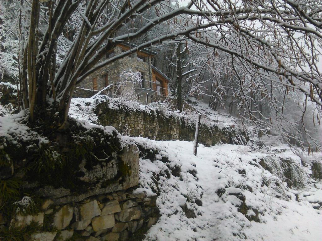 Tra Lago E Montagna Baita La Morena Nesso Εξωτερικό φωτογραφία