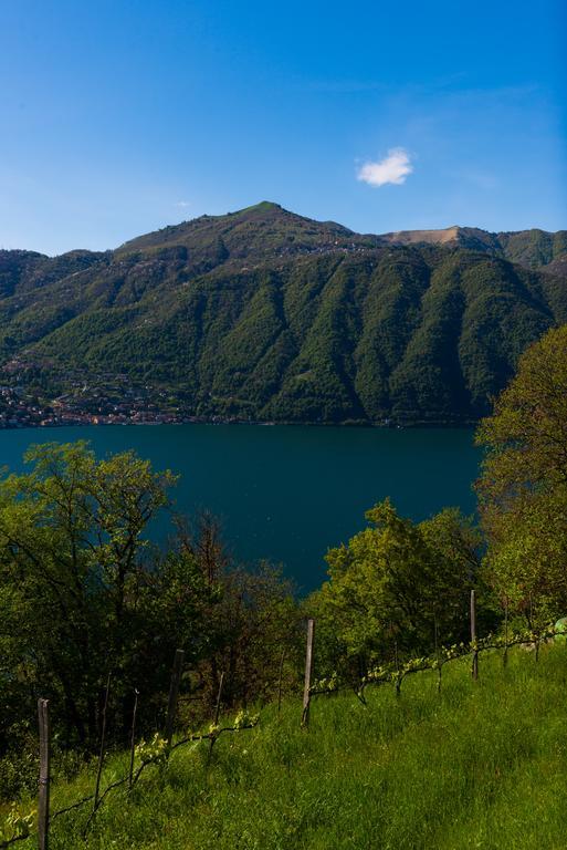 Tra Lago E Montagna Baita La Morena Nesso Εξωτερικό φωτογραφία