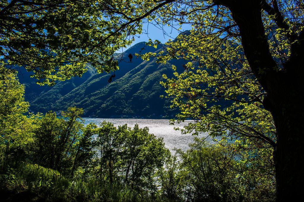 Tra Lago E Montagna Baita La Morena Nesso Εξωτερικό φωτογραφία